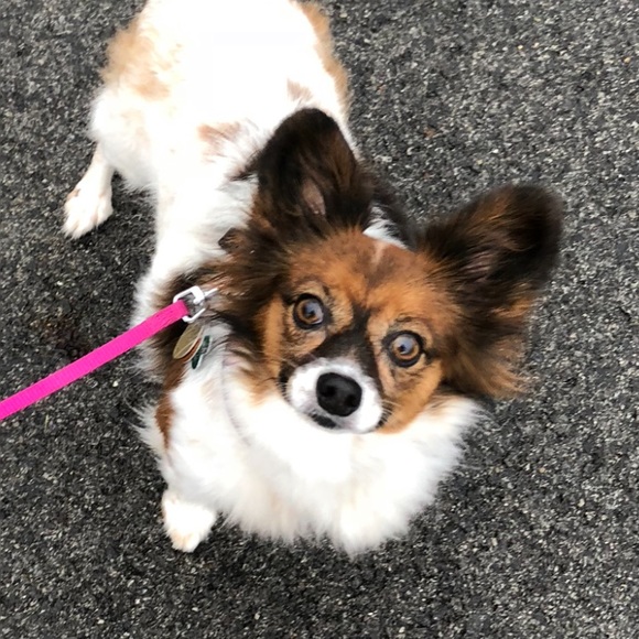 Meet your Posher, Sandra - Picture 1 of 1